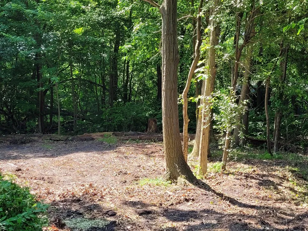 Expert landscape design in Rochester Hills, MI - Greentrees