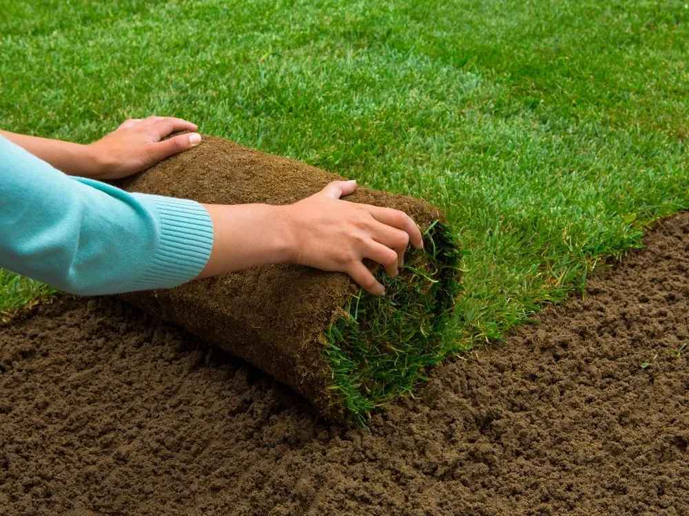 Local garden landscaping in Oakdale, CT by GreenTurf