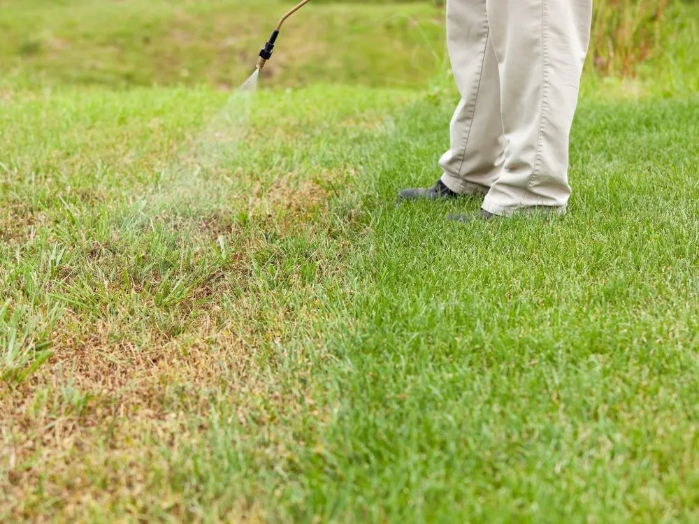 Local lawn mowing service in Oakdale, CT - GreenTurf