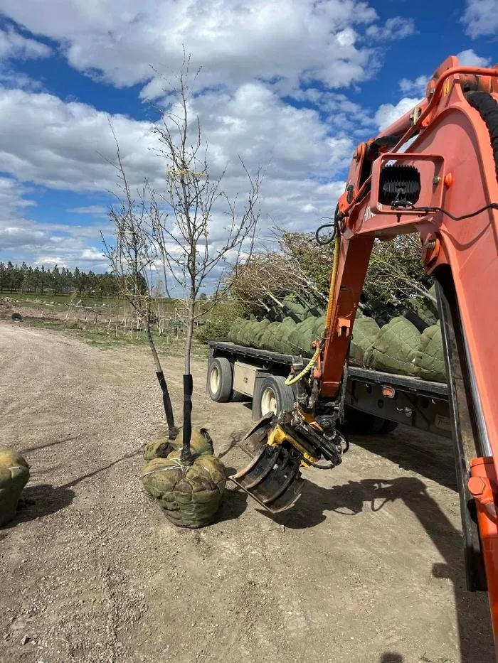 Professional lawn mowing service for residential properties across Black Eagle, MT - Greenup