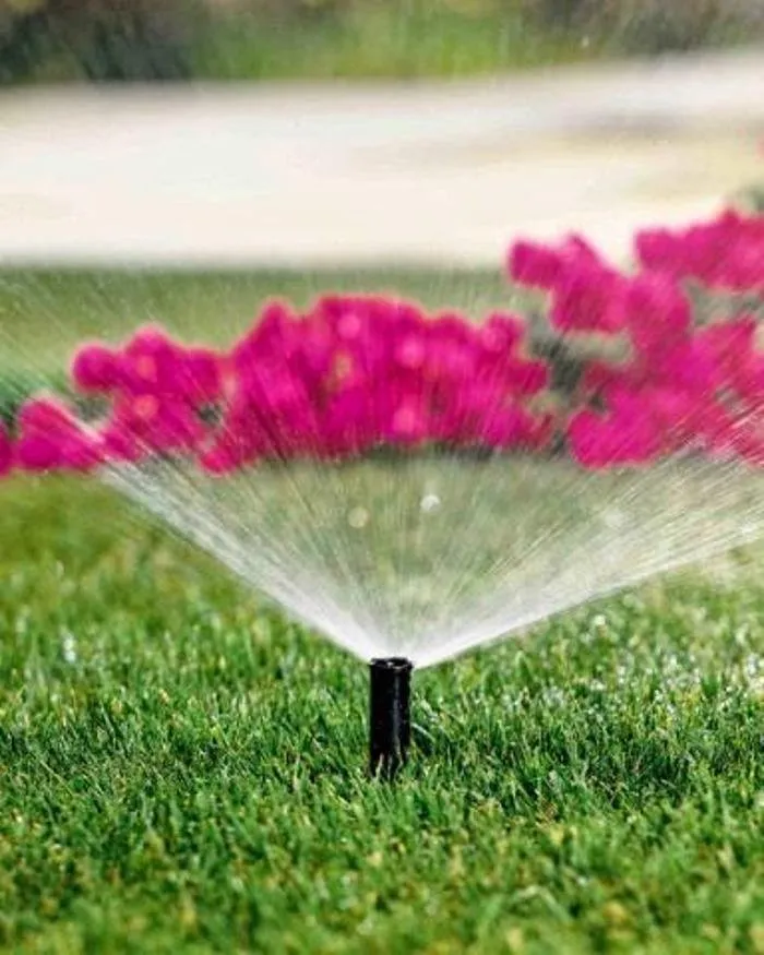 Expert yard maintenance for homes in Black Eagle, MT by Greenup