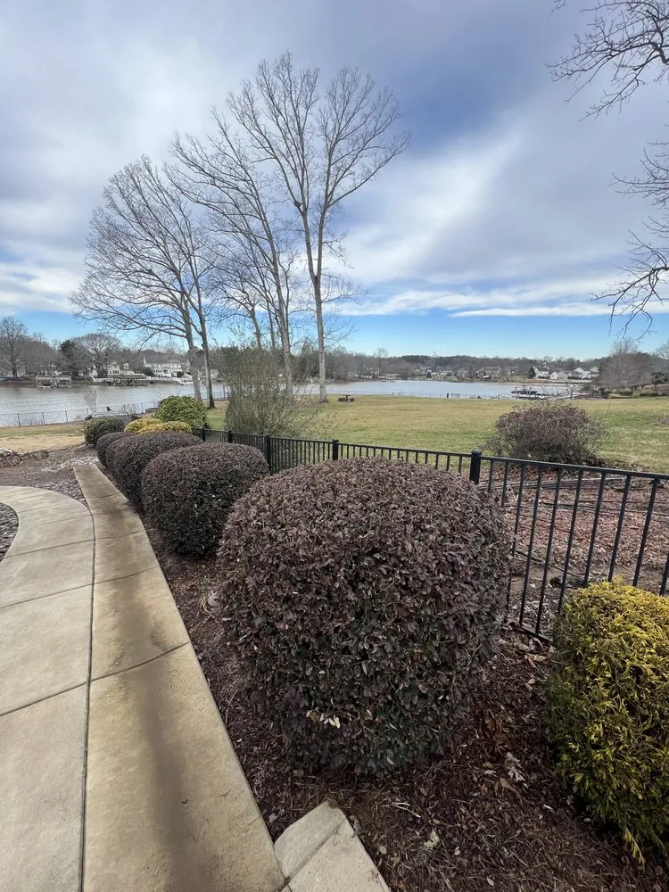 Local yard cleanup service experts serving Clover, SC - Greenveeno Property Services