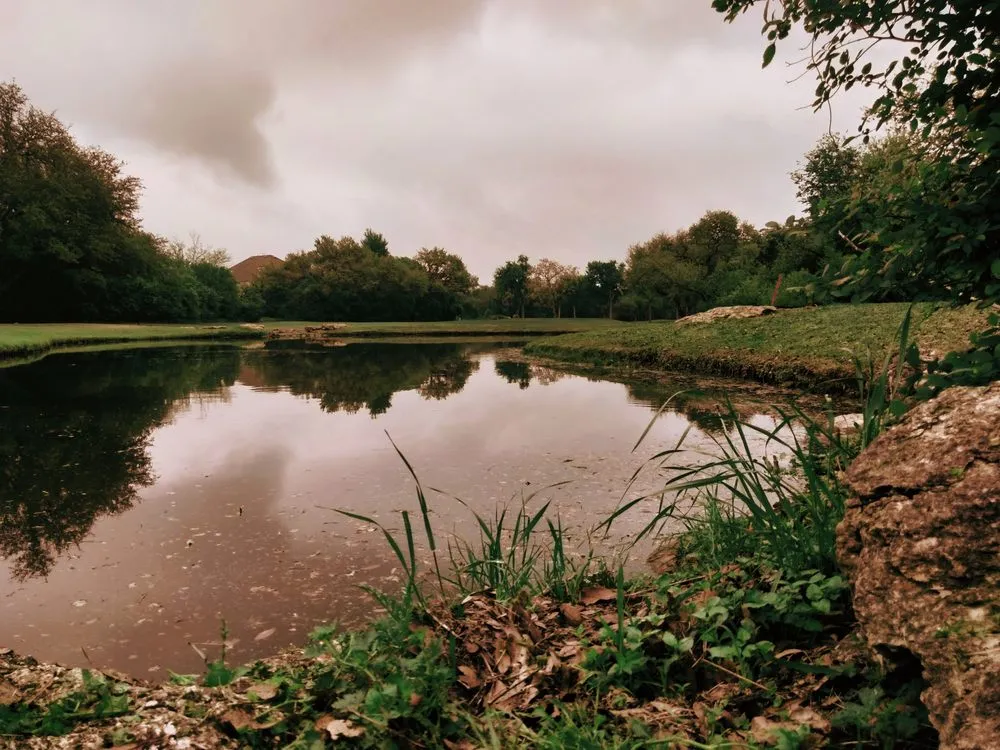 Custom yard maintenance for year-round maintenance across Austin, TX - Greenvibe Landscape