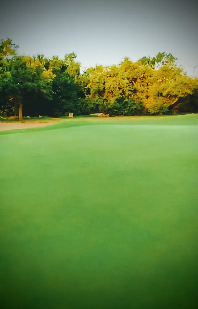 Professional yard maintenance in Austin, TX by Greenvibe Landscape