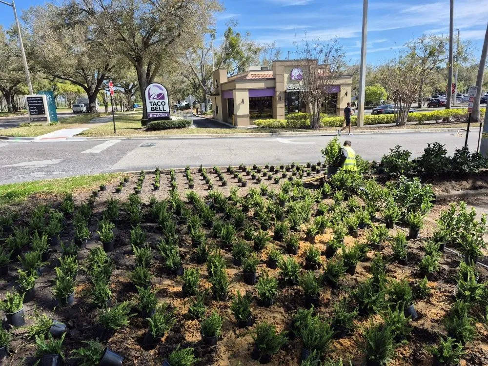 Professional landscaping services in Austin, TX by Greenvibe Landscape