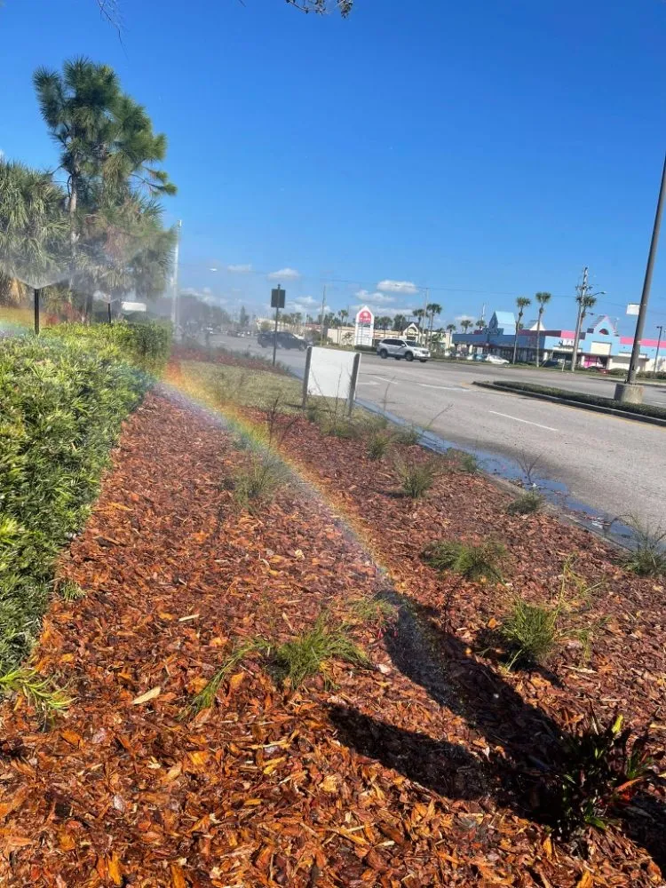 Affordable landscaping services in Austin, TX by Greenvibe Landscape