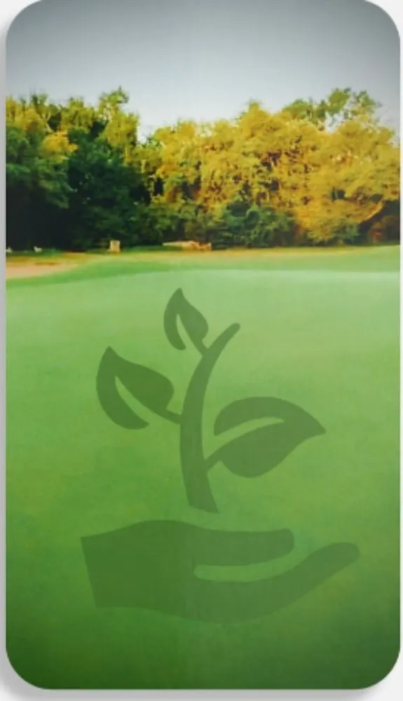 Local garden landscaping in Austin, TX by Greenvibe Landscape