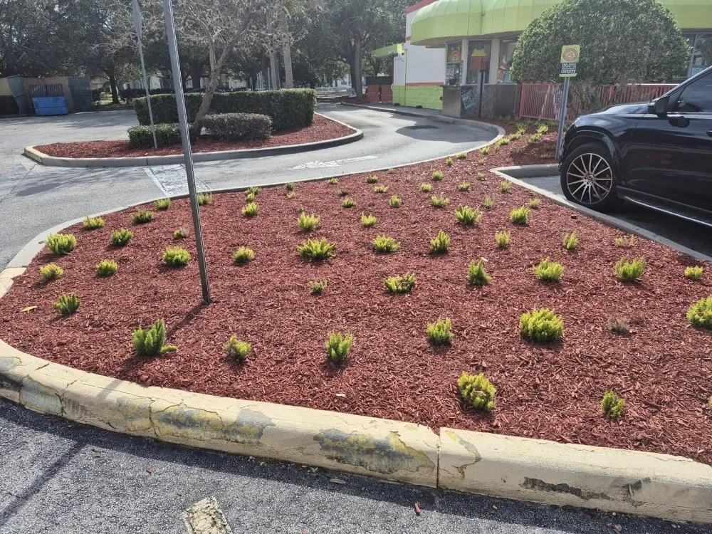 Professional lawn care service for beautiful yards in Austin, TX by Greenvibe Landscape