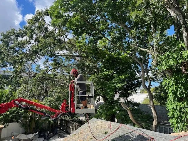 Top-rated yard maintenance with custom design across Tampa, FL - Greenview Fence & Landscape