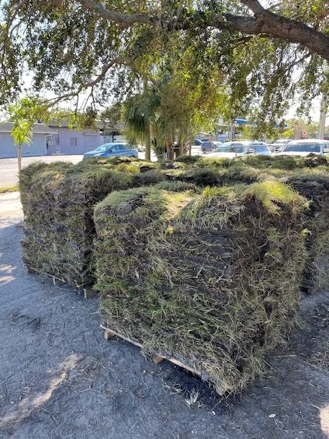 Custom landscape design near you across Tampa, FL - Greenview Fence & Landscape