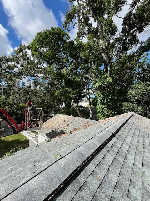 Local landscaping services in Tampa, FL by Greenview Fence & Landscape