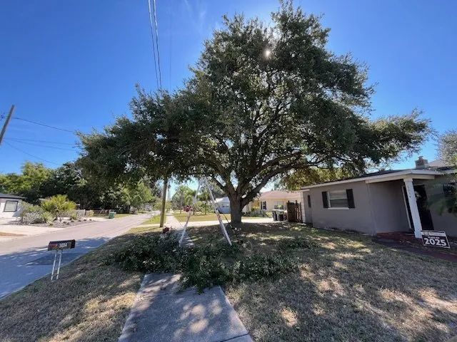 Local yard cleanup service for year-round maintenance in Tampa, FL by Greenview Fence & Landscape