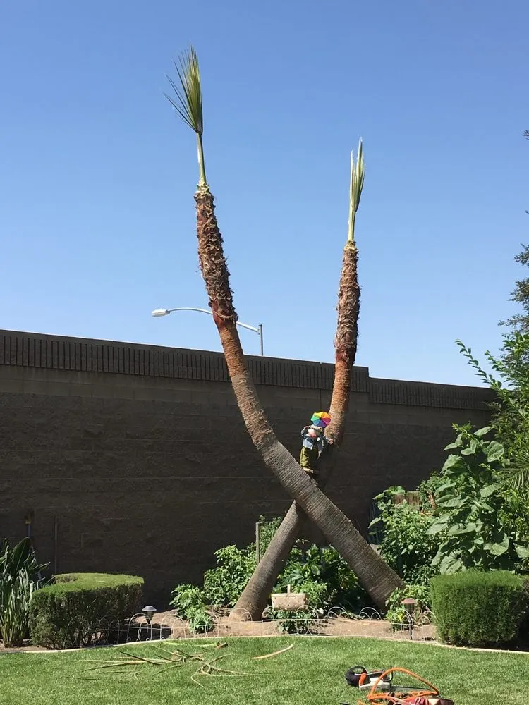 Expert residential landscaping for residential properties in Bakersfield, CA by Greenview Gardening