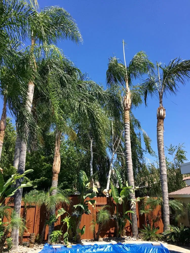 Professional lawn mowing service near you in Bakersfield, CA by Greenview Gardening