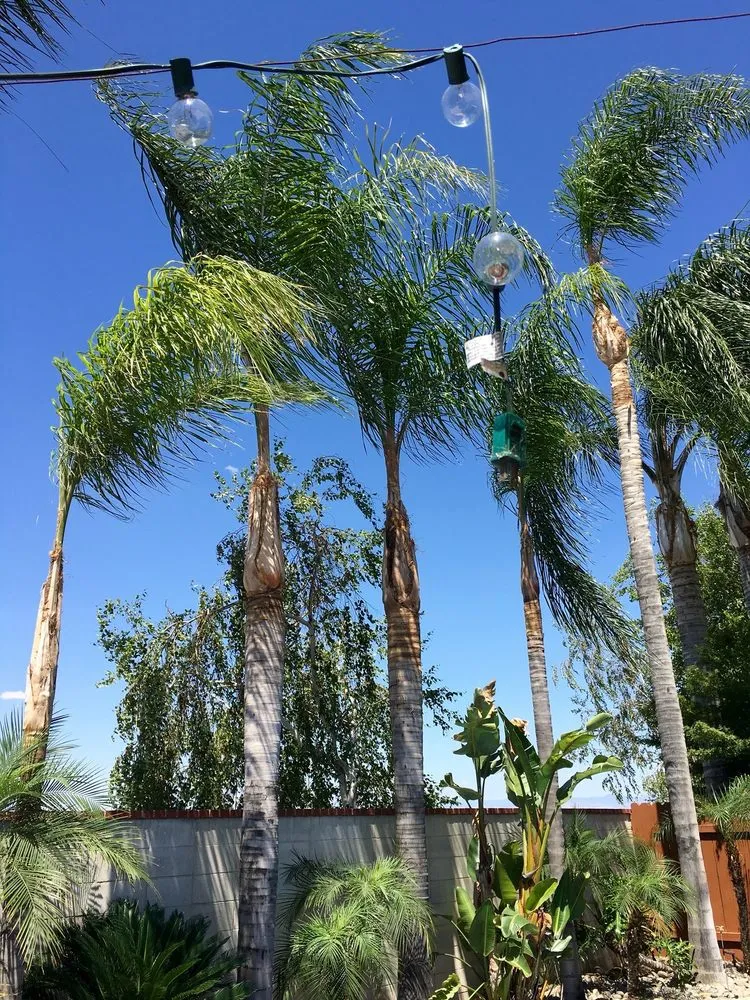 Expert lawn mowing service near you across Bakersfield, CA - Greenview Gardening