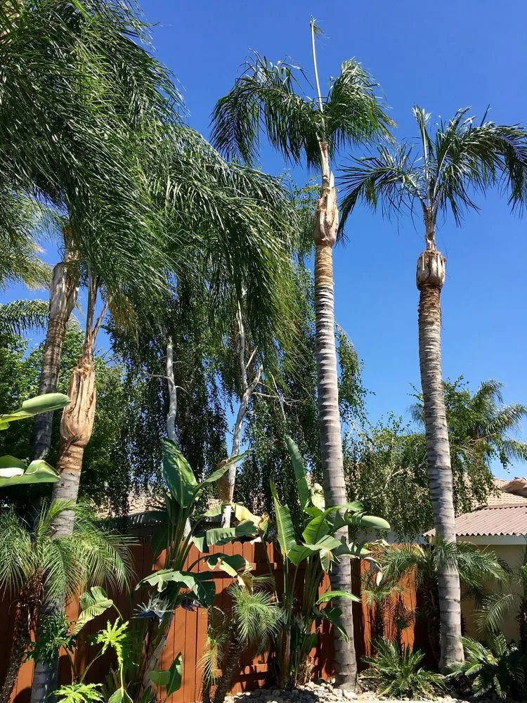 Trusted landscape design experts serving Bakersfield, CA - Greenview Gardening