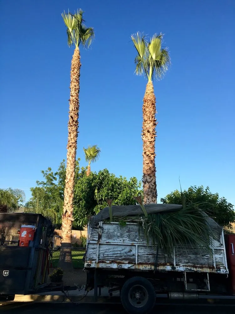 Affordable lawn mowing service in Bakersfield, CA - Greenview Gardening