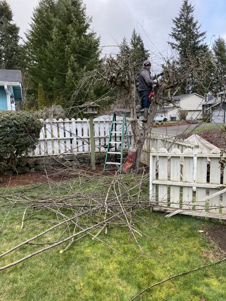 Local landscape installation experts serving Bremerton, WA - Greenview general landscaping