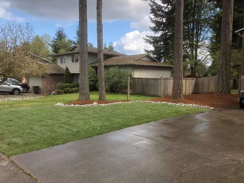 Trusted lawn care service for residential properties in Bremerton, WA by Greenview general landscaping