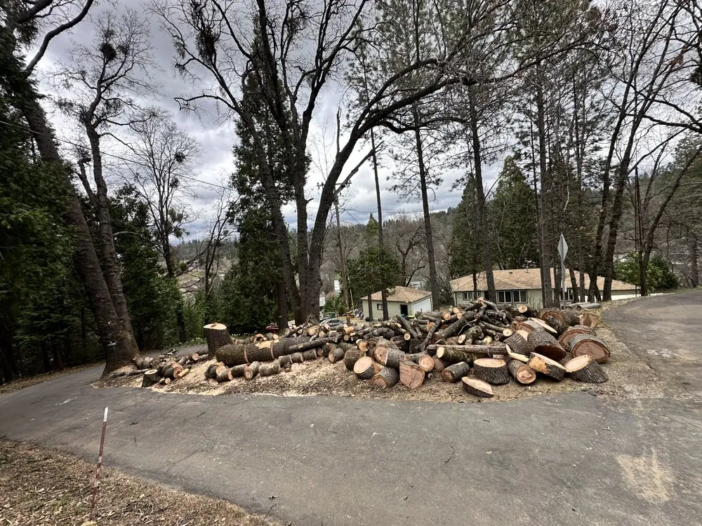 Professional landscape installation in Camino, CA by Greenview Landscape