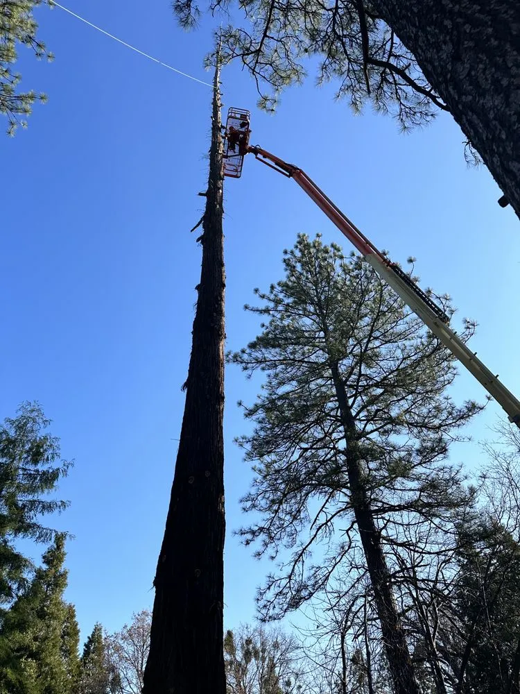 Trusted lawn mowing service experts serving Camino, CA - Greenview Landscape