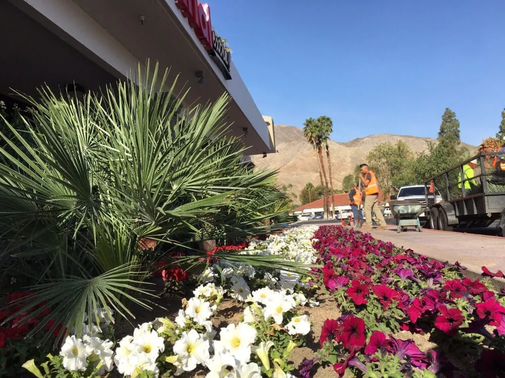 Top-rated garden landscaping experts serving Riverside, CA - Greenview Landscape Management