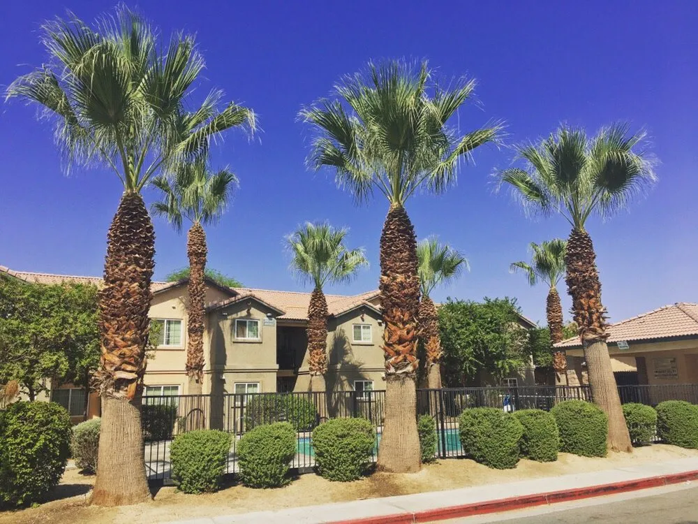 Affordable landscape installation for year-round maintenance in Riverside, CA by Greenview Landscape Management