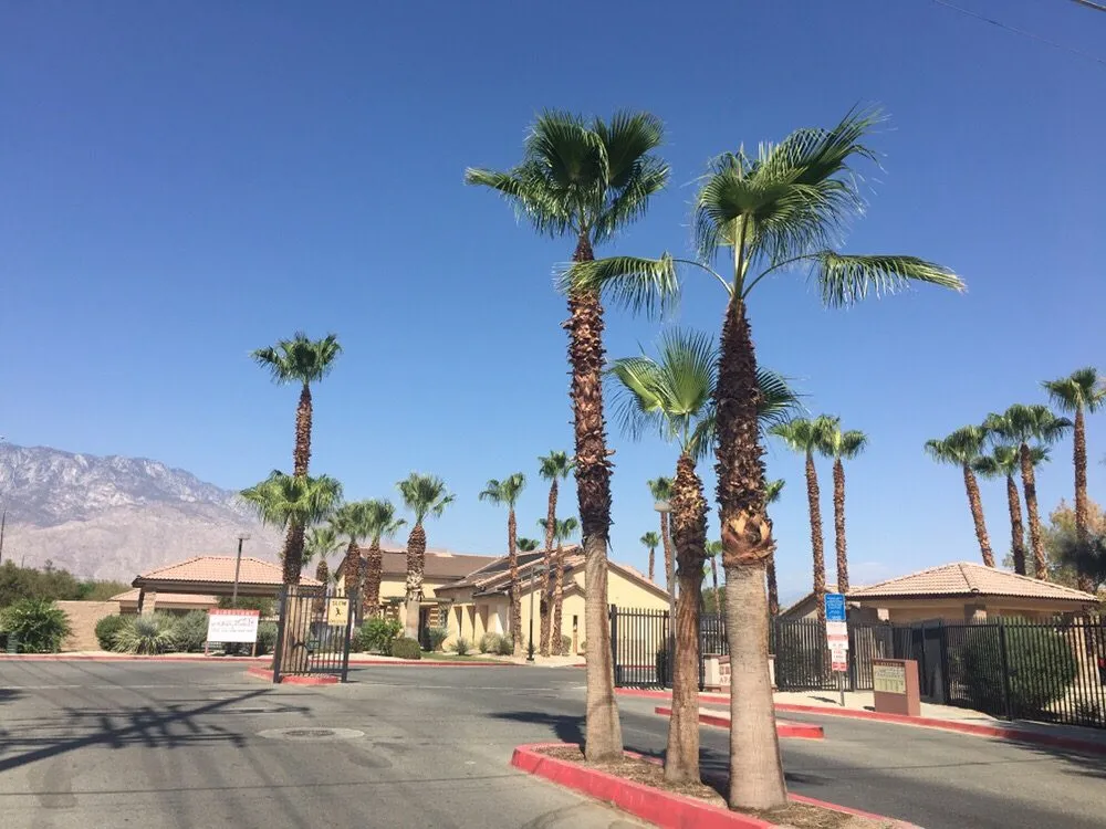 Top-rated yard maintenance in Riverside, CA by Greenview Landscape Management