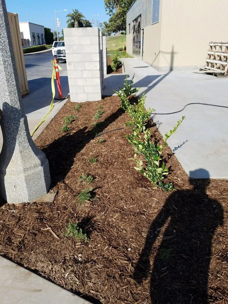 Reliable landscape installation for homes in Riverside, CA by Greenview Landscape Management