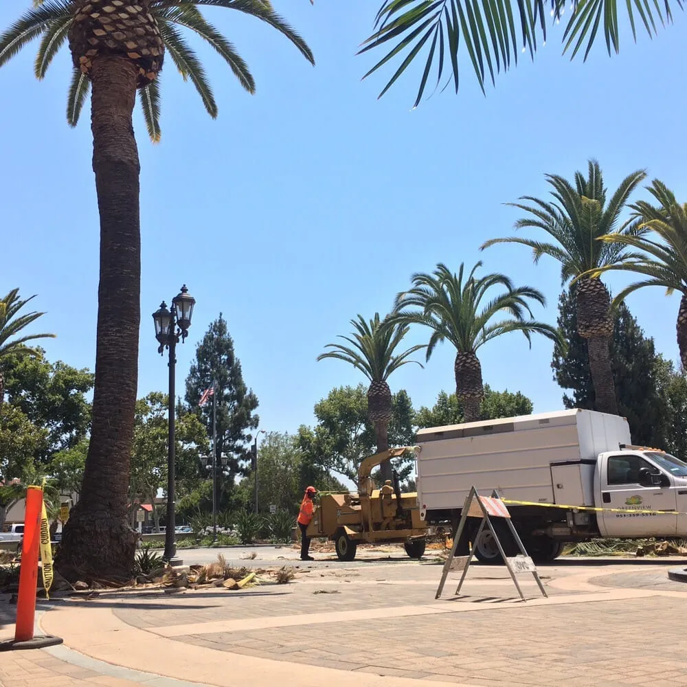 Expert lawn care service for homes across Riverside, CA - Greenview Landscape Management