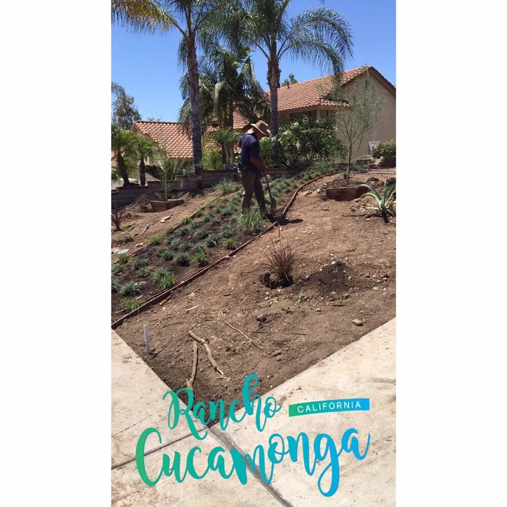 Professional lawn care service for outdoor upgrades in Riverside, CA by Greenview Landscape Management
