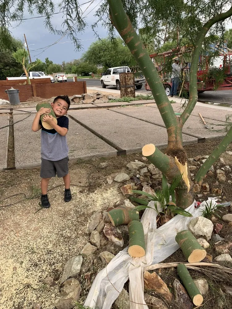 Professional landscape installation experts serving Phoenix, AZ - Greenview landscape