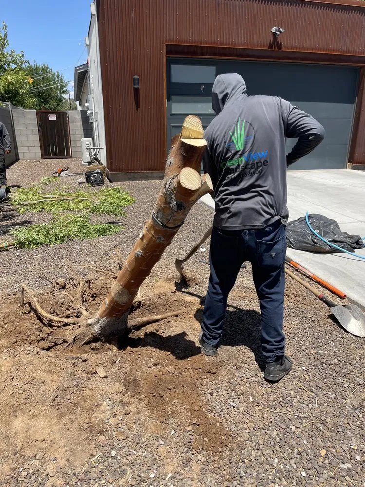 Custom landscaping services for residential properties in Phoenix, AZ by Greenview landscape