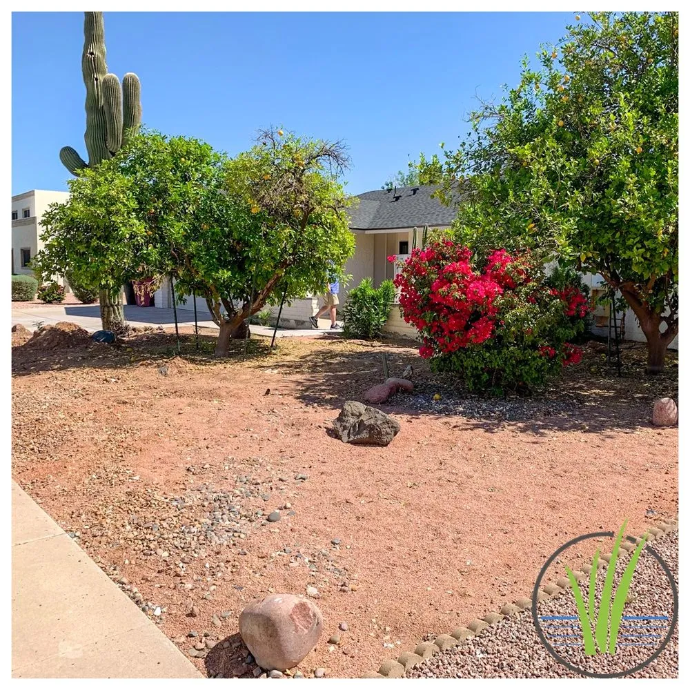 Custom garden landscaping with custom design across Phoenix, AZ - Greenview landscape