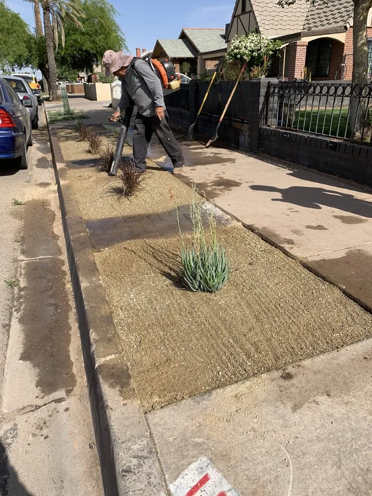 Local lawn care service near you in Phoenix, AZ by Greenview landscape