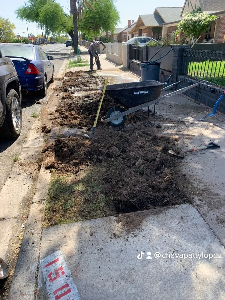 Custom lawn mowing service in Phoenix, AZ - Greenview landscape