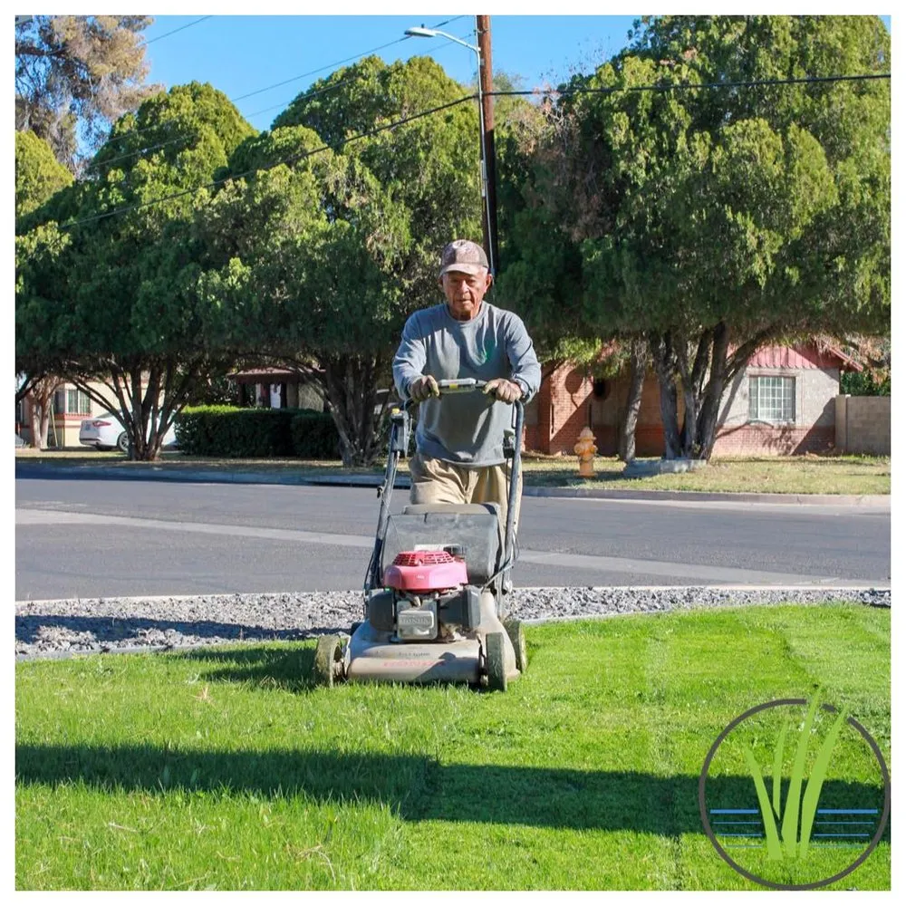 Custom outdoor landscaping experts serving Phoenix, AZ - Greenview landscape