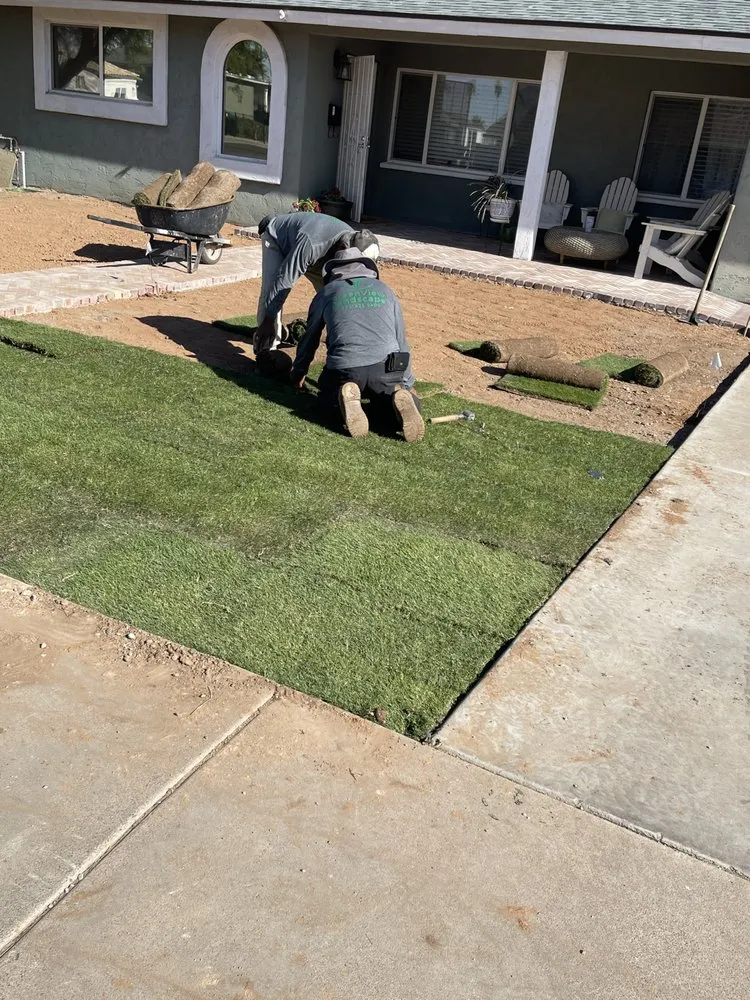 Custom landscape installation with custom design in Phoenix, AZ by Greenview landscape
