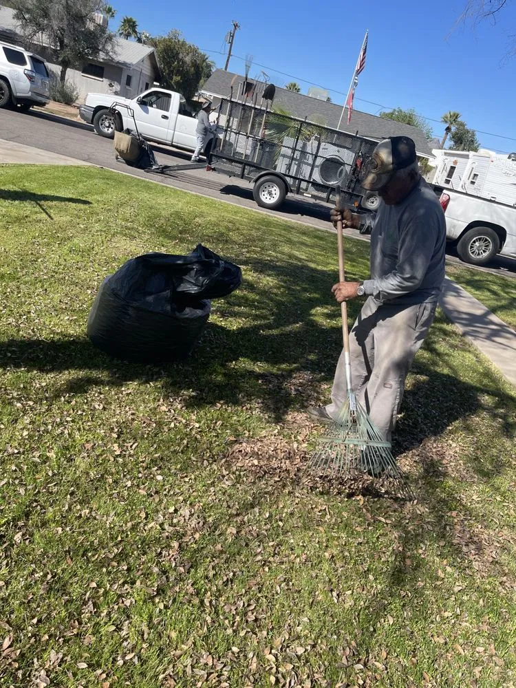 Local yard maintenance for homes across Phoenix, AZ - Greenview landscape