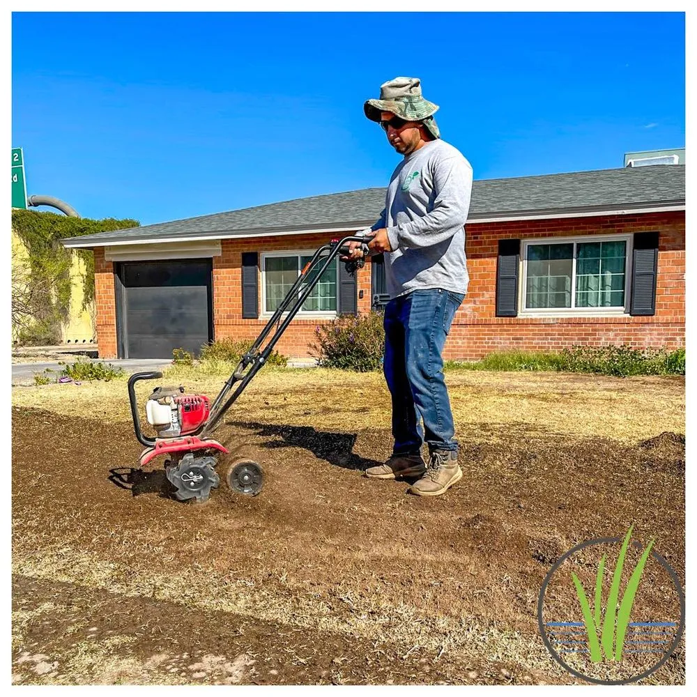 Reliable landscape design for residential properties in Phoenix, AZ by Greenview landscape