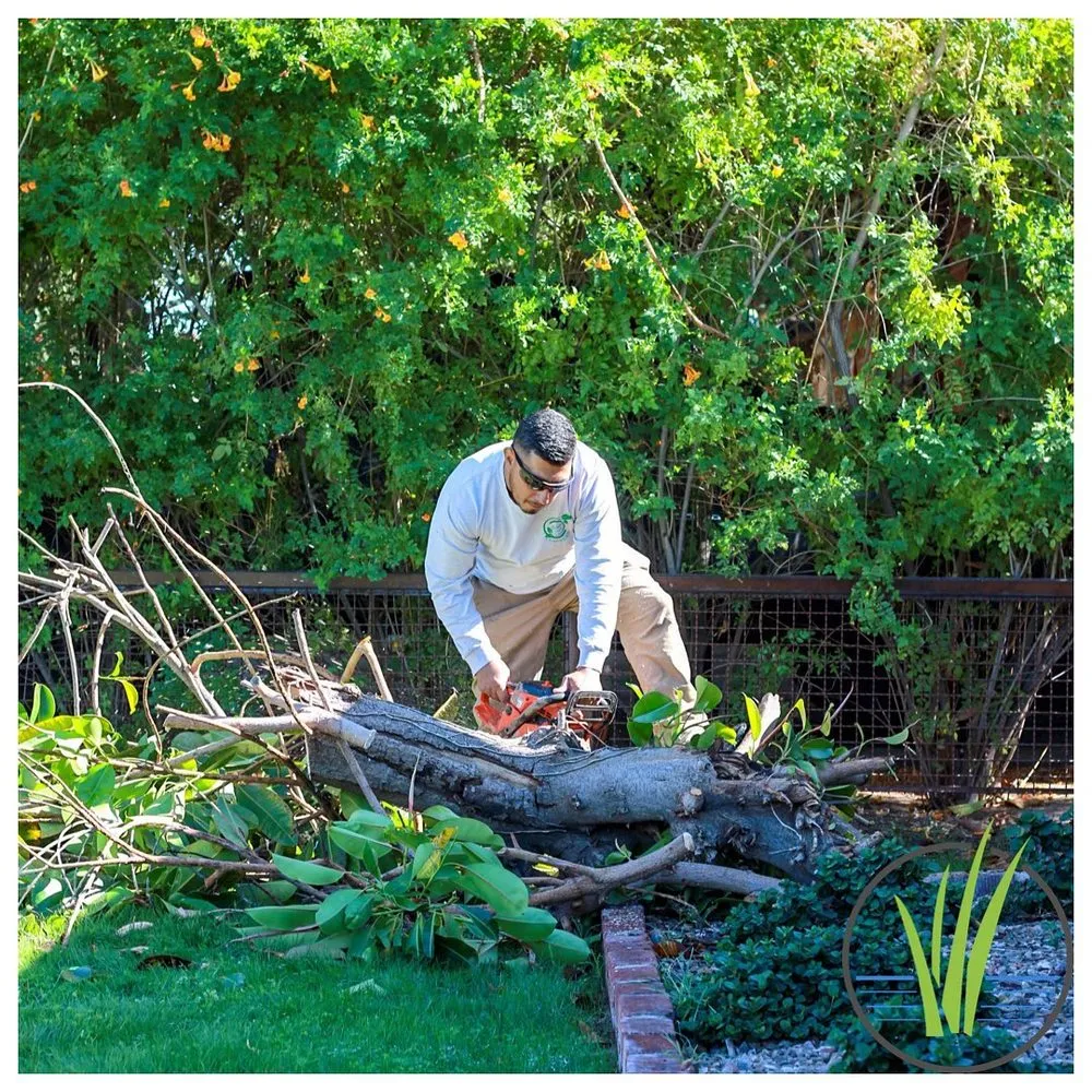 Top-rated landscape design experts serving Phoenix, AZ - Greenview landscape