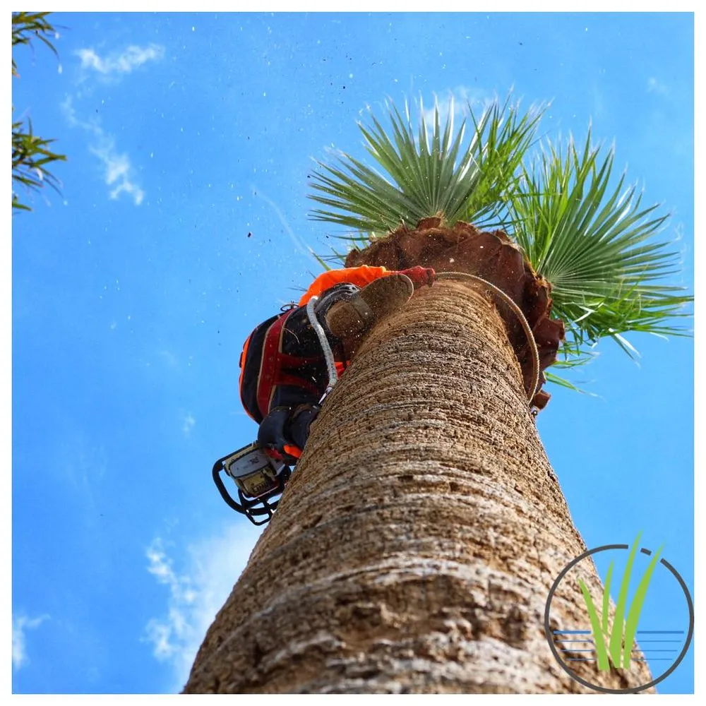 Custom garden landscaping for homes in Phoenix, AZ by Greenview landscape