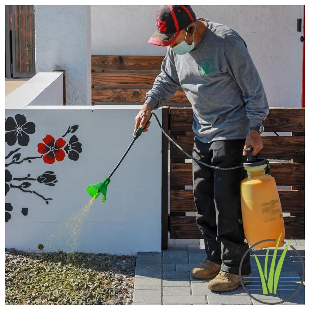 Professional landscape installation for outdoor upgrades across Phoenix, AZ - Greenview landscape