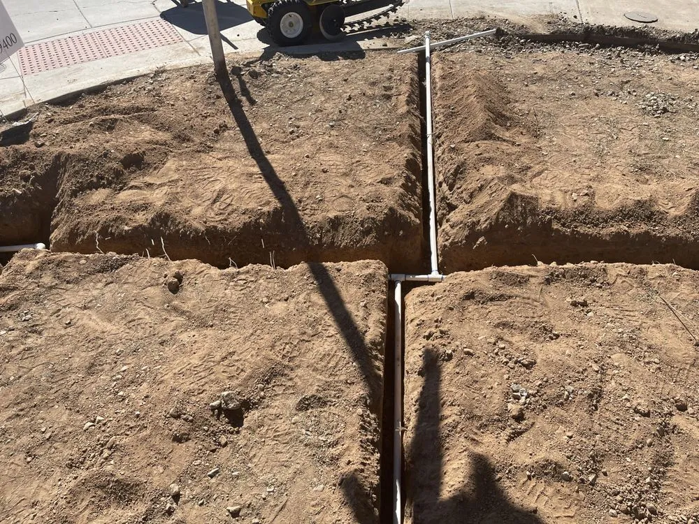 Custom yard cleanup service experts serving Phoenix, AZ - Greenview landscape