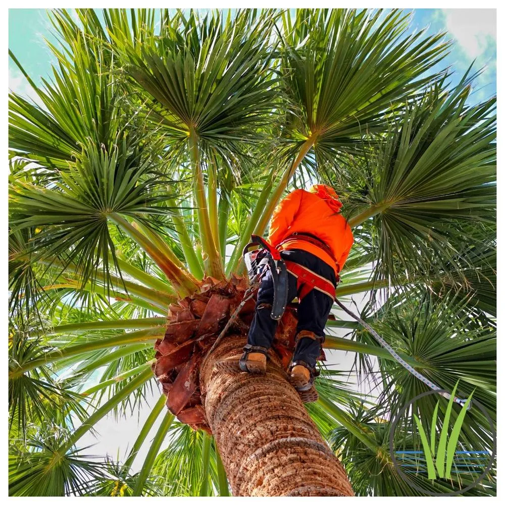 Local outdoor landscaping in Phoenix, AZ - Greenview landscape