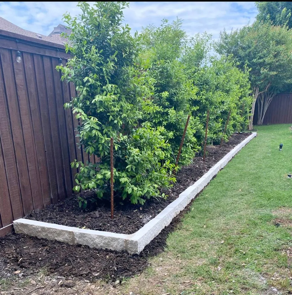 Trusted landscape design for beautiful yards across Richardson, TX - Greenview Landscape
