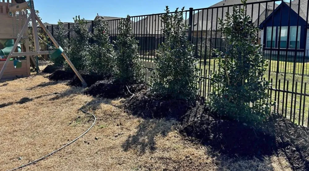 Local yard cleanup service in Richardson, TX - Greenview Landscape