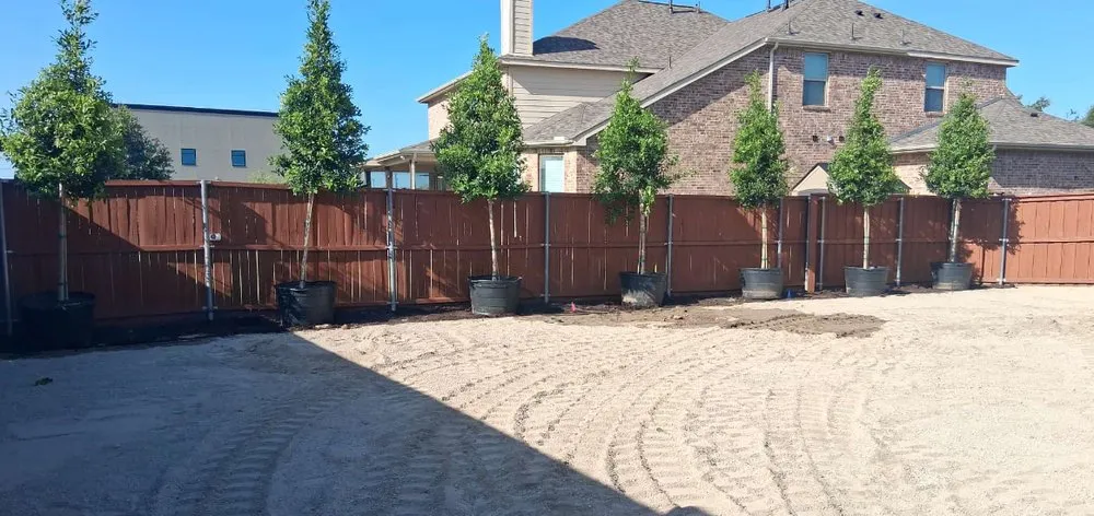 Custom landscape installation experts serving Richardson, TX - Greenview Landscape
