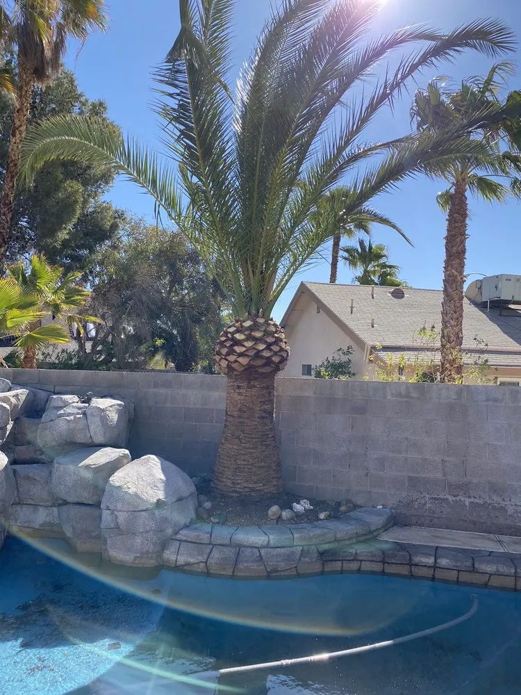Custom garden landscaping in Las Vegas, NV - Greenview Landscape Service