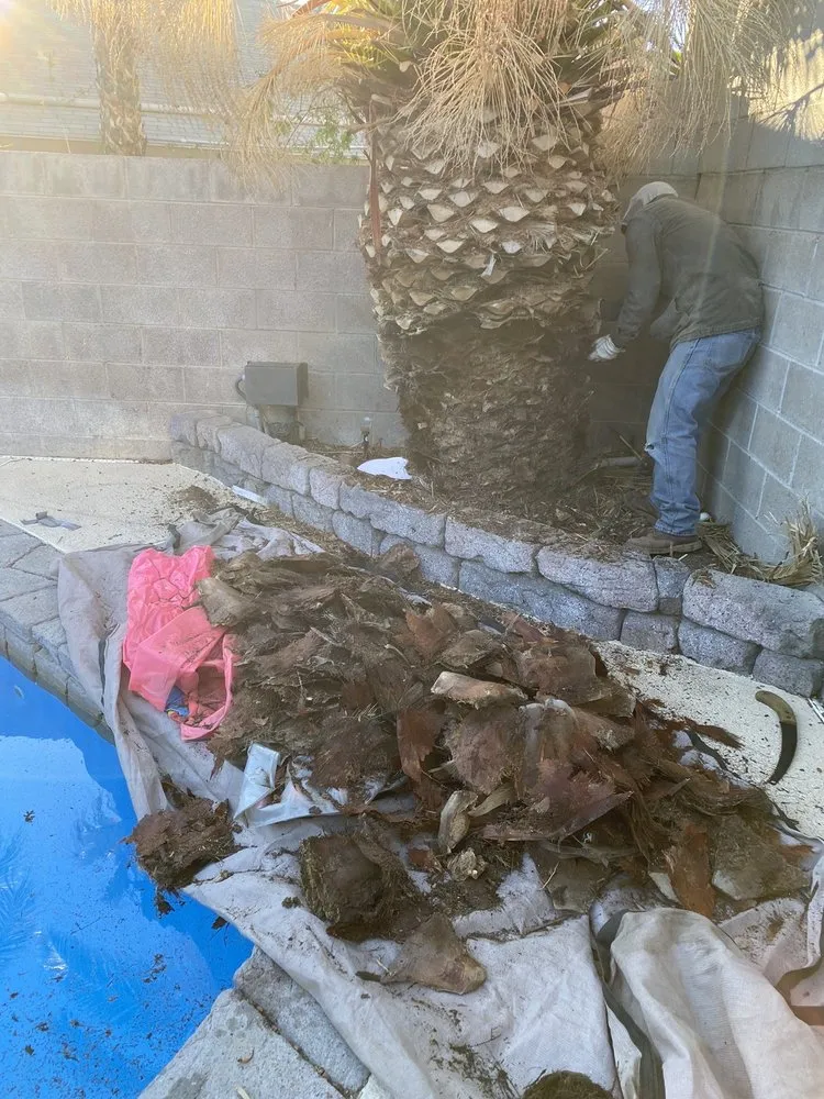 Professional lawn care service in Las Vegas, NV - Greenview Landscape Service